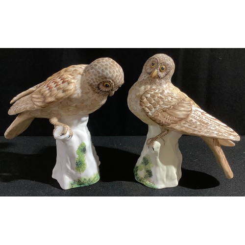 27 - A Crown Staffordshire model, Owl, by F Doybell Miller, 19cm high, printed mark, signed; another (2)