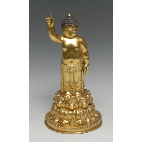 34 - Sino-Tibetan School, a gilt bronze or copper alloy figure, the infant Buddha, he stands, upon a lotu... 