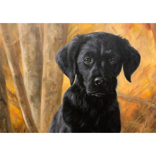 22 - John Trickett (bn. 1952), Black Labrador puppy, Autumnal light , signed, oil on canvas, 60.5cm x 50.... 