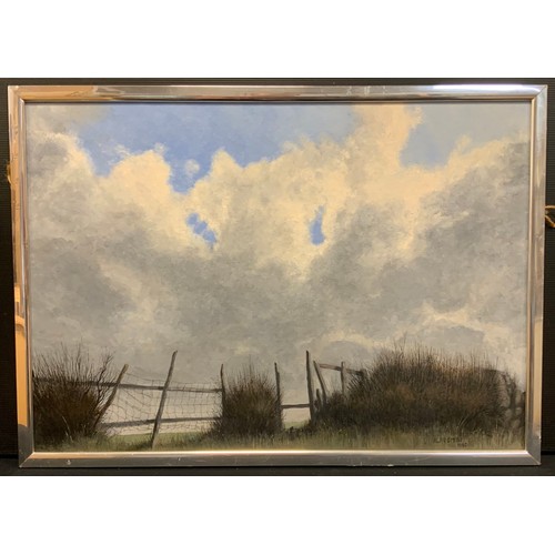 66 - Alan Smith, 'Hedgerow study with a cloudy sky', signed, oil on board, 43cm x 61cm.