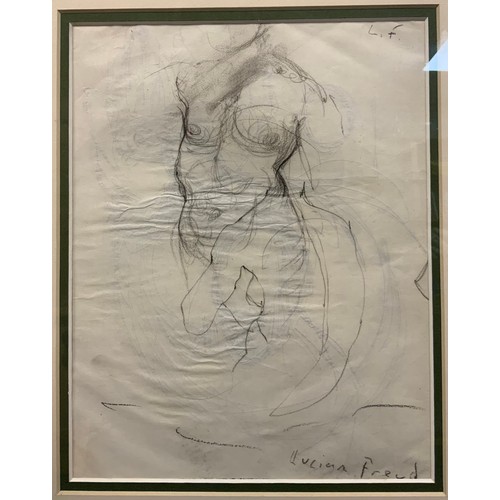 74 - A sketch in the manner of Lucian Freud, bears signature, nude torso study, pencil sketch, 24cm x 18.... 