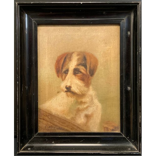 110 - English school, Terrier, indistinctly signed, dated 1934, oil on canvas, 23cm x 18cm.