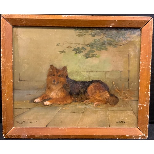 112 - Frederick French, Portrait of a Dog, 'Clyde', signed, dated 1896, oil on canvas, 20.5cm x 25.5cm.