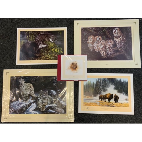 230 - Dorothea Hyde, by and after, Owls, signed, colouted print, 47cm x 69cm;  Snow Leopard;  Bee the Otte... 