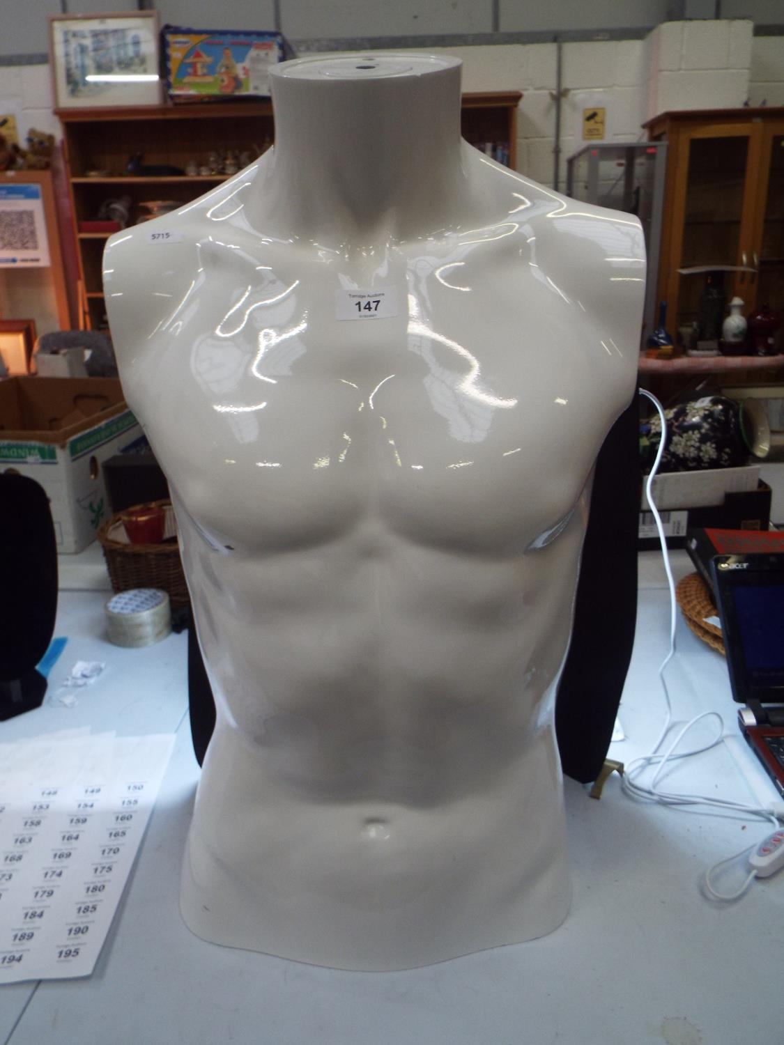 Male Half Mannequin (J)
