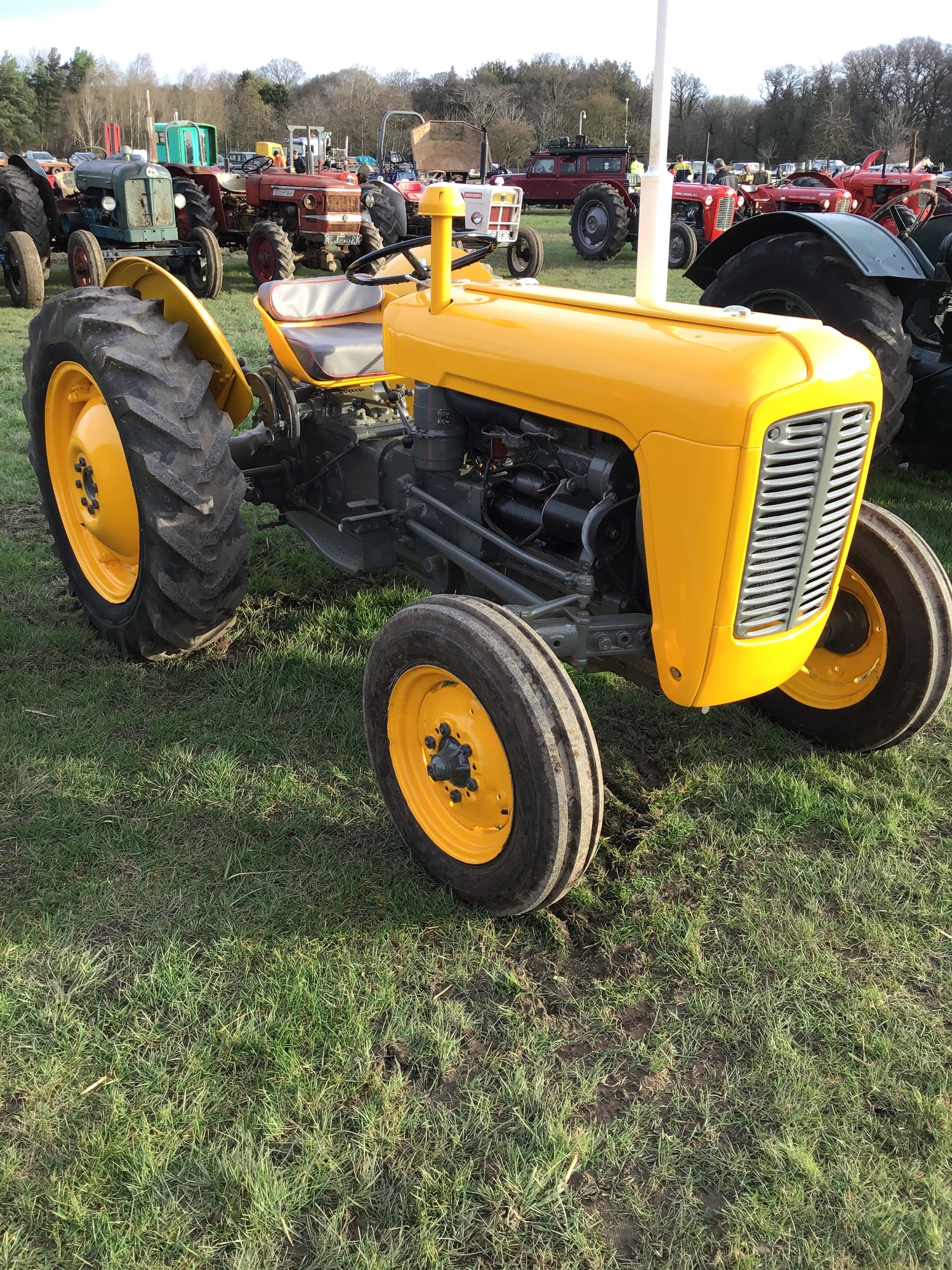 Massey Ferguson 35 tractor. 3 Cylinder, restored