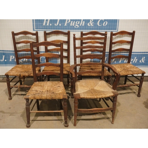 36 - Set of 6 rush seated ladderback chairs