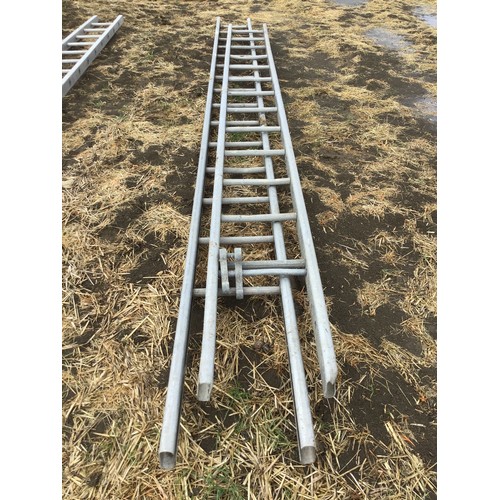 37 - Aluminium ladders - 2