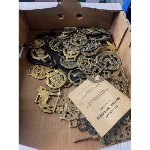 151 - One box of horse brasses