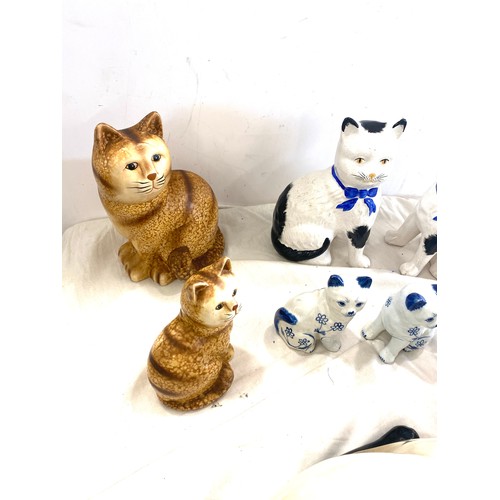 39 - a collection of various cats, to include a pair of Staffordshire cats etc