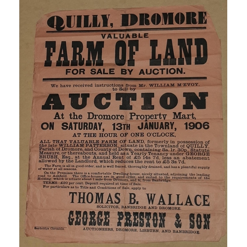12 - LAND QUILLY, DROMORE AUCTION POSTER 23