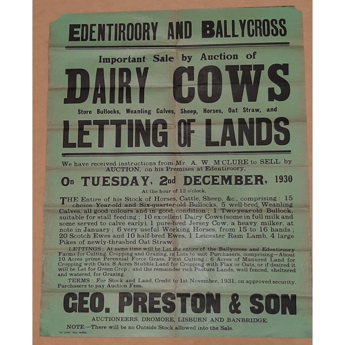 13 - LETTING OF LANDS EDENTIROORY & BALLYCROSS AUCTION POSTER 22