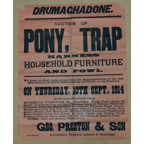 21 - PONY, TRAP ETC, DRUMAGHADONE AUCTION POSTER 22
