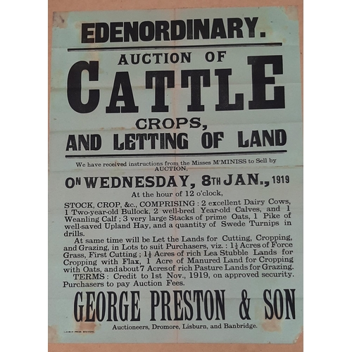 40 - CATTLE & LAND LETTING, EDENORDINARY AUCTION POSTER 20