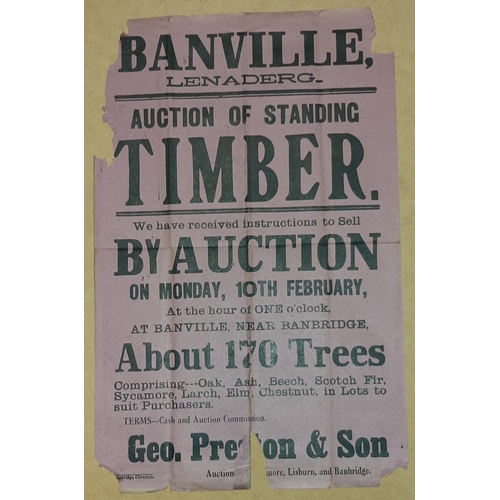 42 - TIMBER FOR SALE, BANVILLE AUCTION POSTER 17.5