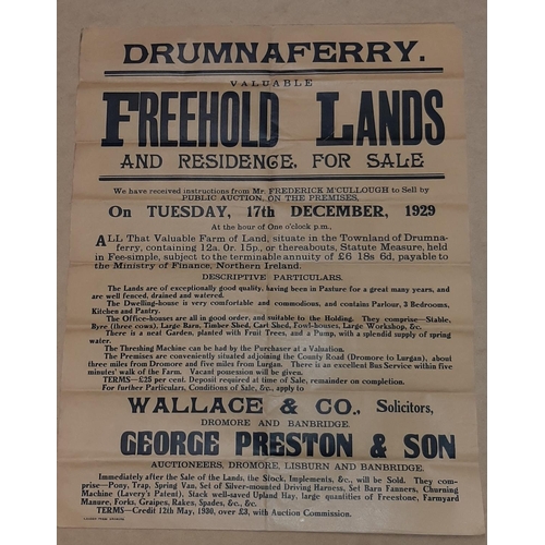 6 - FREEHOLD LANDS DRUMNAFERRY AUCTION POSTER 22.5