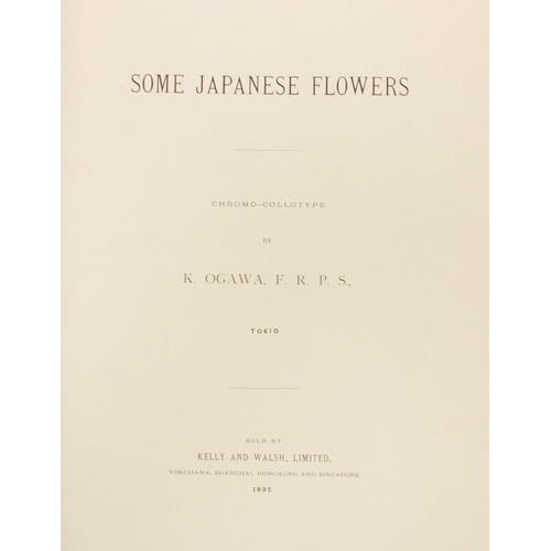 684 - Album of Japanese flower prints, Chromo-Collotype K OGAWA F.R.P.S. Tokio 1897, 40cm x 30cm