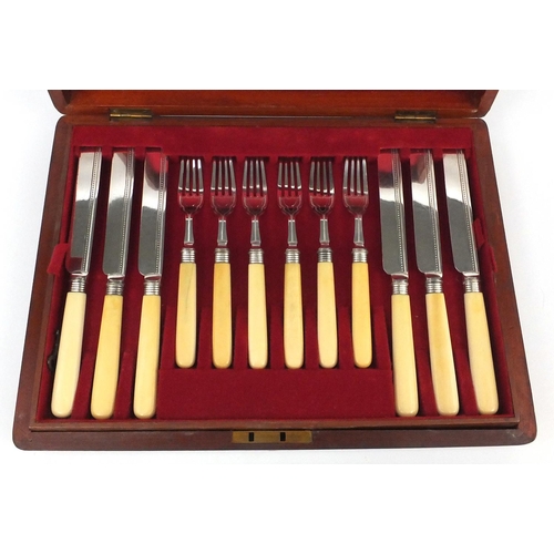 2050 - Set of twelve silver plated fish knives and forks with ivory handles, housed in a fitted mahogany ca... 