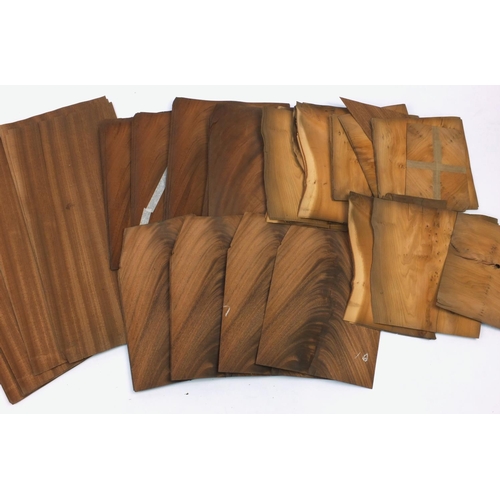 48 - Sheets of mahogany and yew veneer, the largest sheets 66cm x 30cm