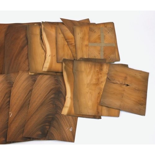 48 - Sheets of mahogany and yew veneer, the largest sheets 66cm x 30cm