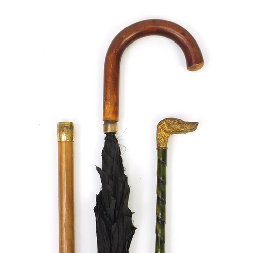 167 - Early 20th century French parasol with gilt bronze dog head design handle and a walking stick umbrel... 