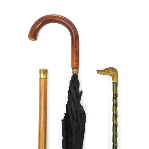 167 - Early 20th century French parasol with gilt bronze dog head design handle and a walking stick umbrel... 