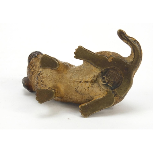 18 - Austrian cold painted bronze puppy possibly by Franz Xaver Bergmann, impressed Depose and lozenge ma... 