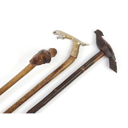1879 - Three walking sticks, one with carved bird handle and chromed jaguar