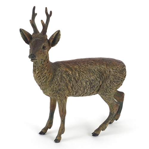 21 - German cold painted bronze stag, impressed Geschutz to the underside, 16.5cm high