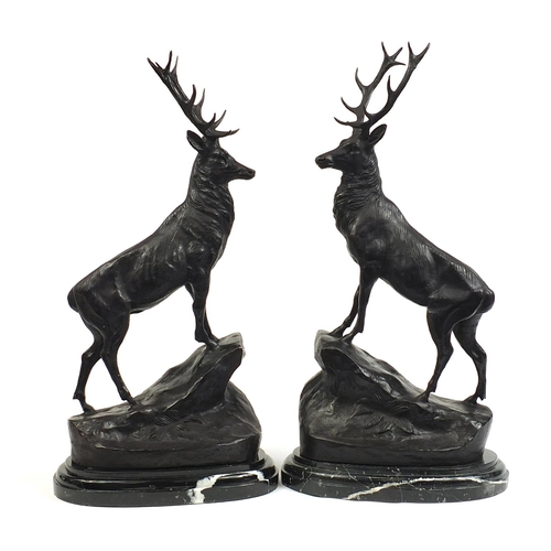 18 - Large pair of patinated bronze stags raised on oval marble stepped bases, each 74cm high