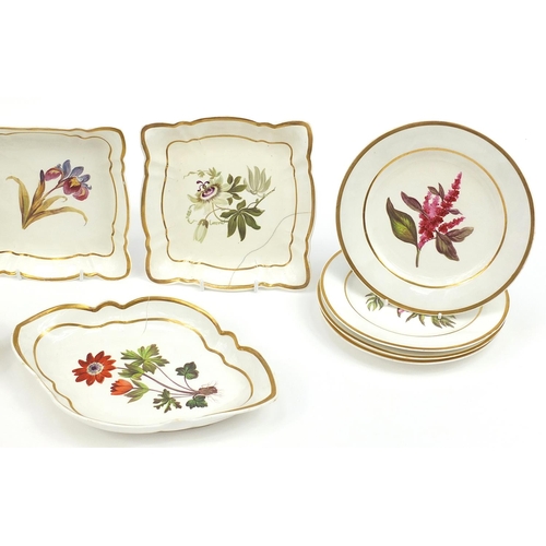 39 - Early 19th century Coalport botanical porcelain service comprising nine plates and five dishes hand ... 