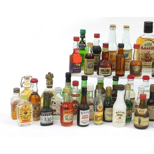 Large collection of alcohol miniatures and larger bottles of alcohol