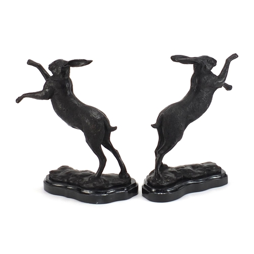 42 - Pair of patinated bronze boxing hares raised on shaped marble bases, each 30cm high