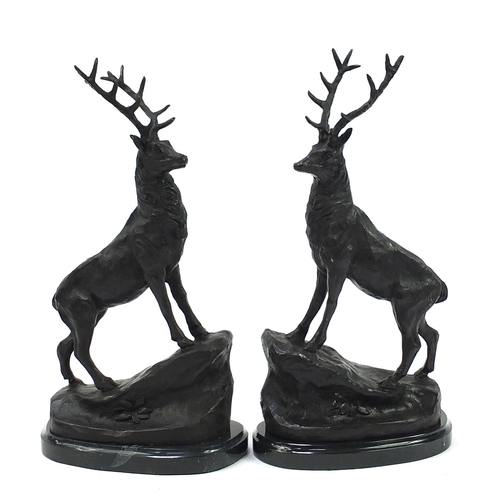 43 - Pair of patinated bronze stags raised on shaped marble bases, each 38.5cm high