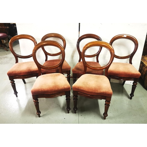 9 - Matching Set of 6 Mahogany Balloon Back Dining Chairs, serpentine shaped seats (removeable), covered... 