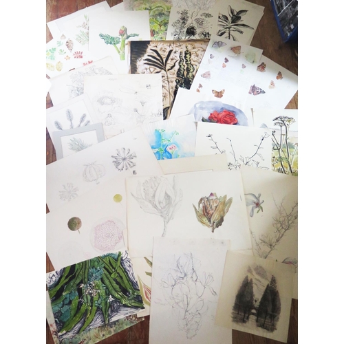32 - A Portfolio of Pen sketches, watercolours and Illustrations of Botanical Subjects and Naturalistic T... 
