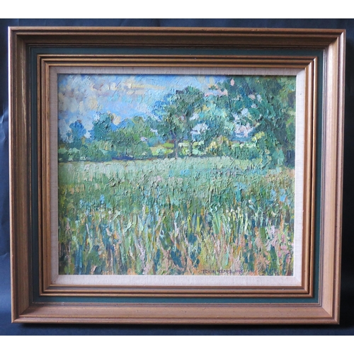 43 - Tricia Holmes, landscape meadow scene, oil on board, 33x28cm, framed