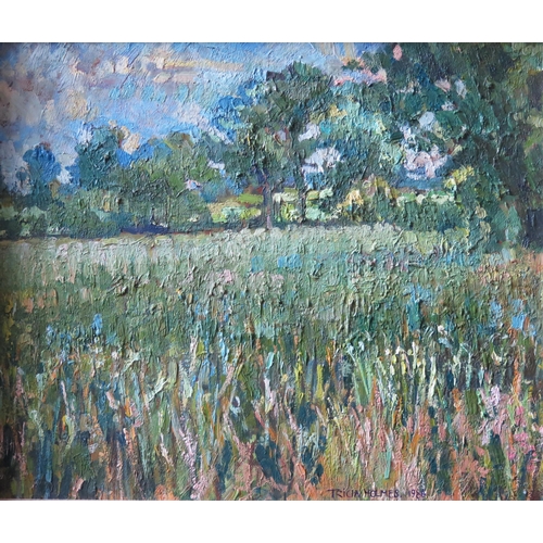 43 - Tricia Holmes, landscape meadow scene, oil on board, 33x28cm, framed