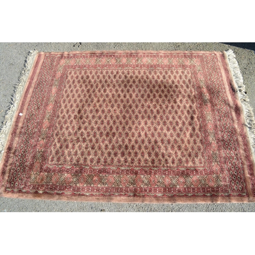 35 - Pakistan rug of Bokhara design with three rows of gols on a wine red ground, 6ft 4ins x 4ft approxim... 