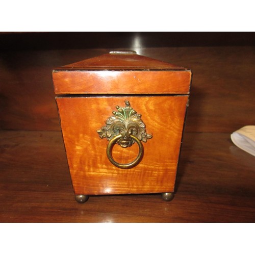 1351 - George III satinwood and line inlaid sarcophagus shaped tea caddy, the hinged lid enclosing a two di... 