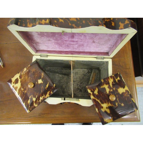 1528 - 19th Century tortoiseshell serpentine shaped two division tea caddy, raised on low bun feet, 7.75ins... 