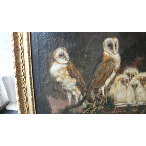 49 - William Tomkins (c. 1730-1792) BARN OWLS AND A NEST OF FLEDGLINGS Signed oil on canvas, dated 1769, ... 