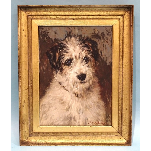1 - Robert Morley (1857-1941) STUDY OF A TERRIER Signed oil on board, 34.5 x 24.5cm.