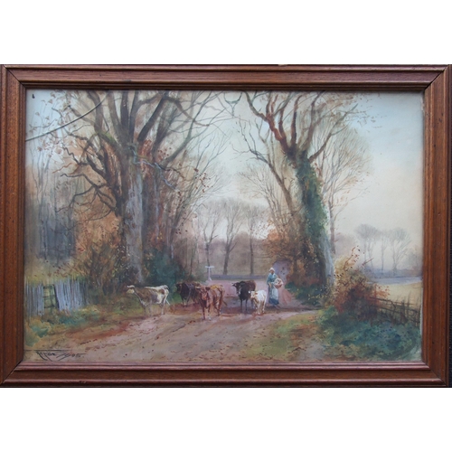 41 - Henry Charles Fox (1855-1929) FIGURE AND CATTLE ON A COUNTRY LANE Signed watercolour, dated 1905, 36... 