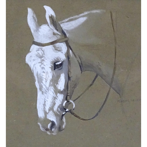 44 - Mabel Augusta Kingwell (1890-1924) HEAD AND SHOULDERS OF A GREY HORSE Signed watercolour heightened ... 