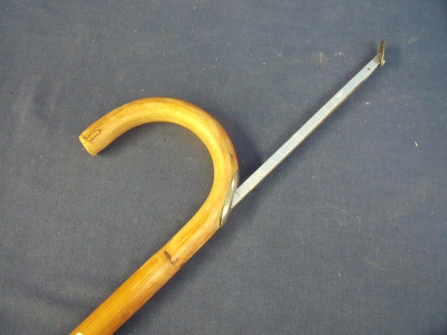 20th C horse measuring walking stick