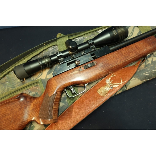 BSA .22 air rifle with two magazines, C02 air rifle with two... | Barnebys
