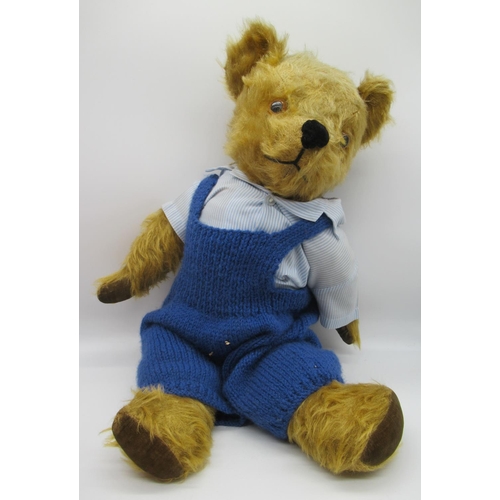 45 - Collection of c. 1950s British teddy bears, including a pedigree teddy bear in golden mohair with wo... 