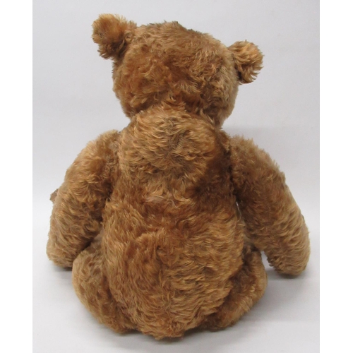 3 - Steiff c. 1908 large teddy bear in cinnamon mohair, with boot button eyes, Steiff button in ear,  pr... 