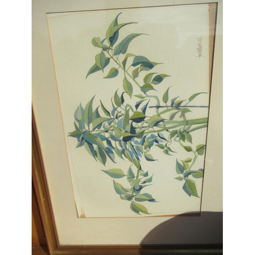 702 - Fred Williams (contemporary), study of bamboo, water colour, signed and dated 84 W35 L51cm, collecti... 